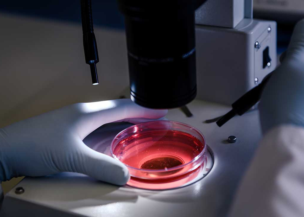 Ebola Disease Doctor in Lab Look under Microscope