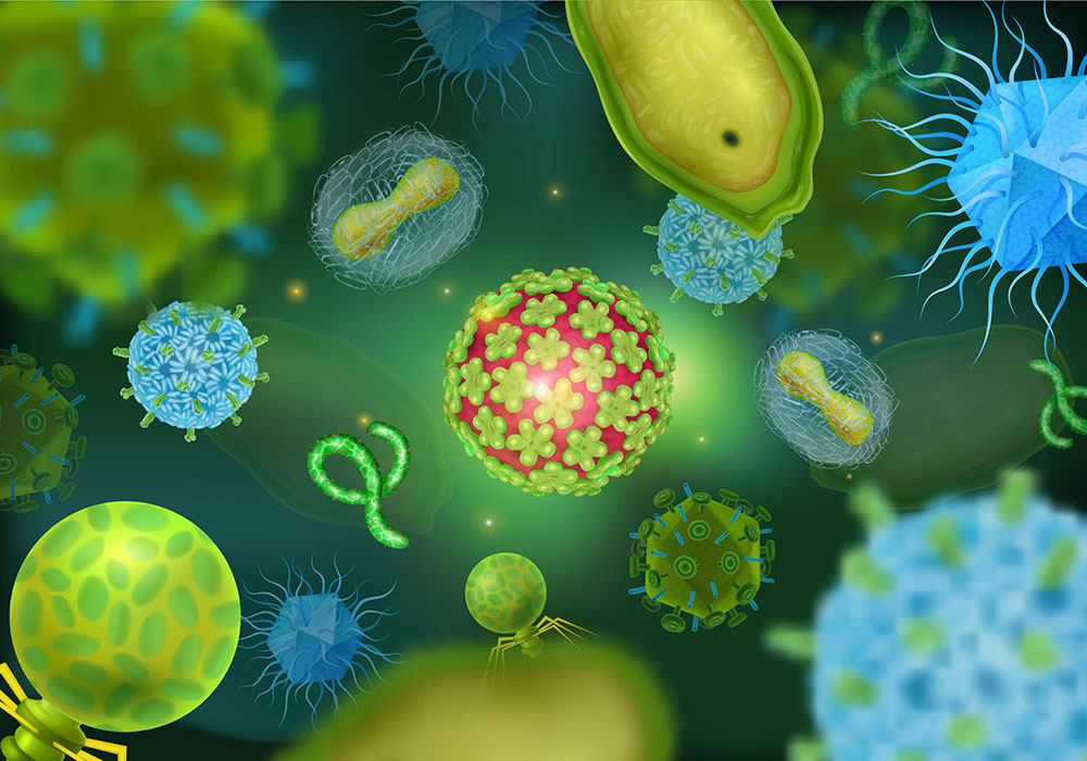 Ebola Outbreak Cells Illustration