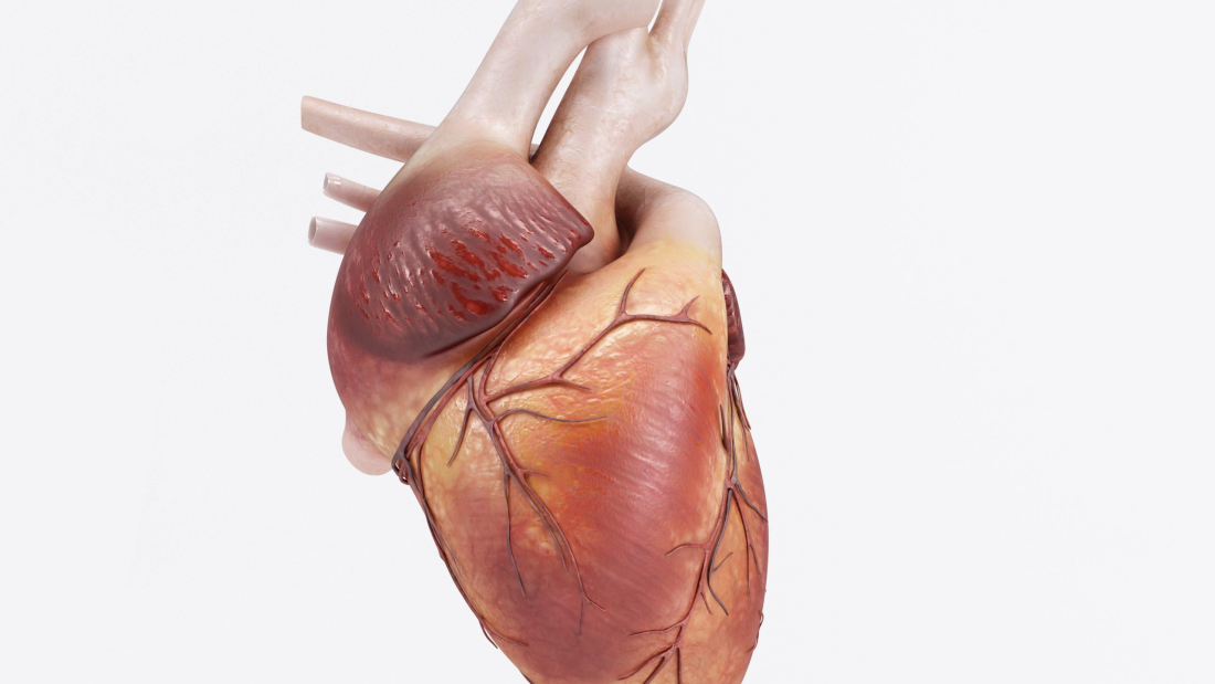 Cardiac progenitor cells