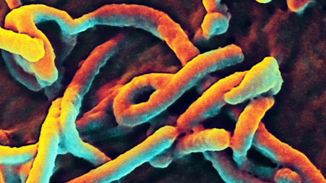 Ebola outbreak