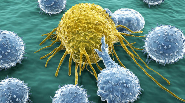 Resistencia a los fármacos contra el cáncer