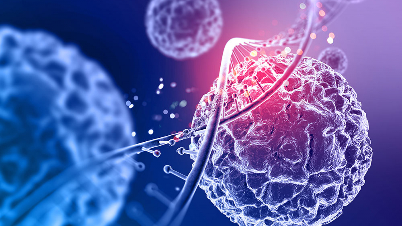 Cancer Cells Illustration of Cells up Close