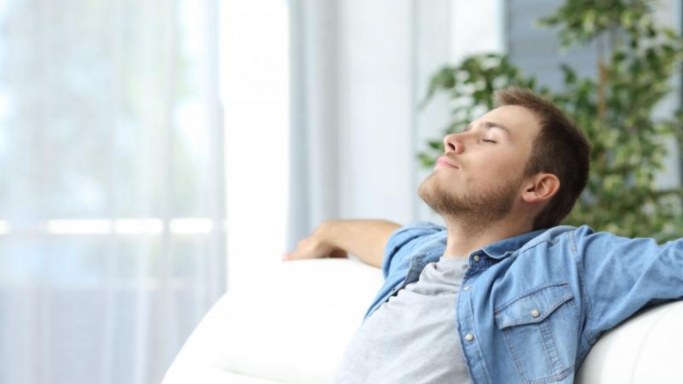 Picture taken from: http://www.biosciencetechnology.com/news/2016/11/scientists-find-surprising-answers-food-coma-conundrum