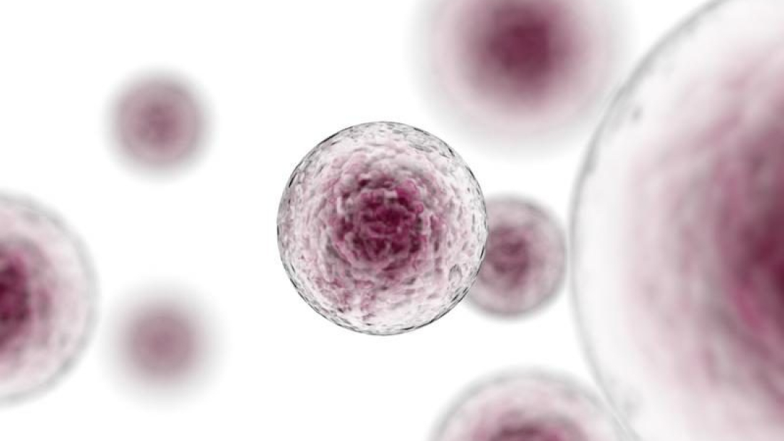 Foto tomada de: http://www.dddmag.com/article/2016/12/cancer-immunotherapies-witness-extraordinary-growth-2022
