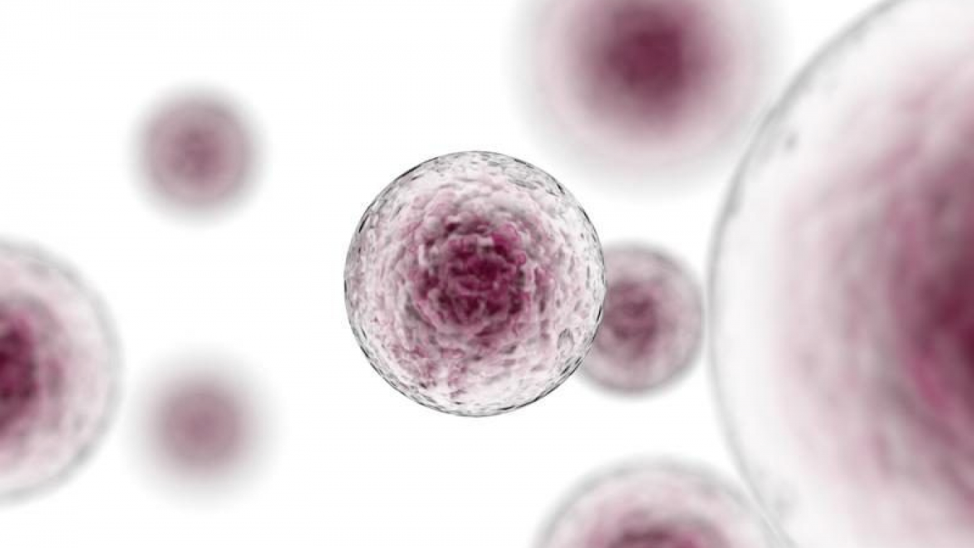 Picture taken form: http://www.dddmag.com/article/2016/12/cancer-immunotherapies-witness-extraordinary-growth-2022