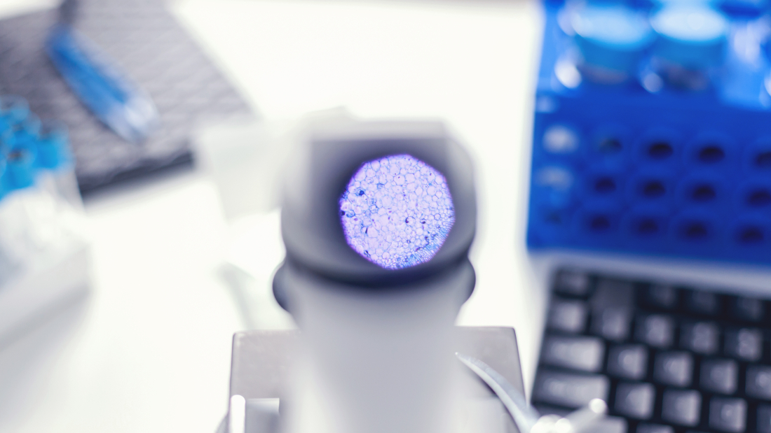 Molecular Diagnostic Tool