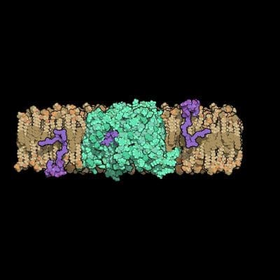 unison antibiotics unison antibiotics