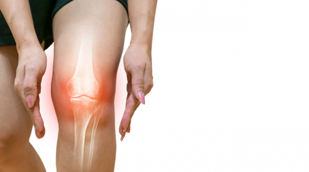 Human leg Osteoarthritis inflammation Of bone joints
