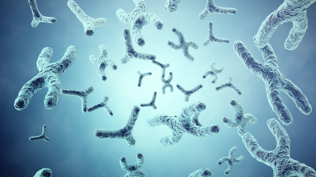 Genetic discovery