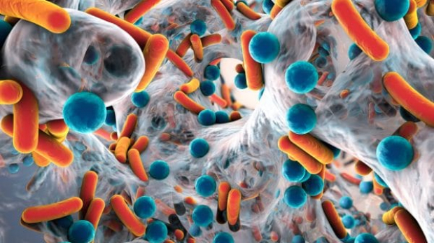 New Antibiotic Against Bacterial Resistance
