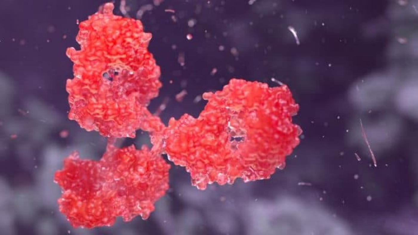 Cancer Fighting Antibody