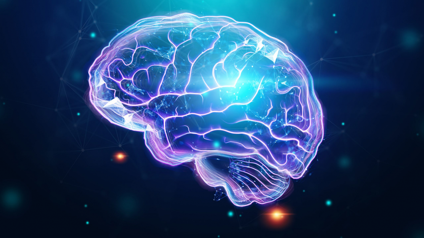 The image of the human brain, a hologram, a dark background.