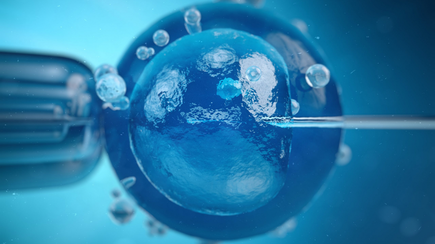 3d illustration artificial insemination, fertilisation, Injecting sperm into egg cell. Assisted reproductive treatment