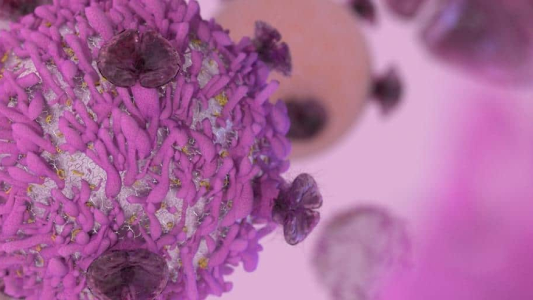 Rare Immune Disease