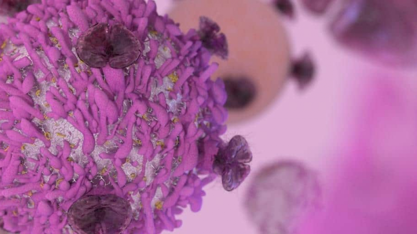 Rare Immune Disease