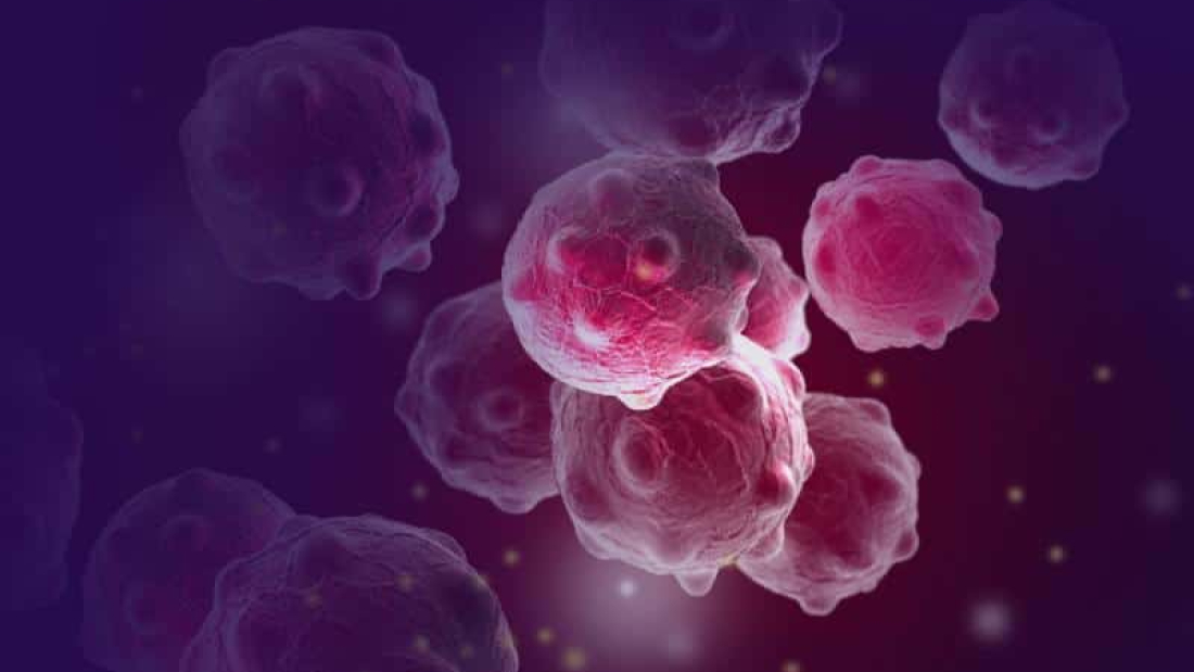 tumor suppressor