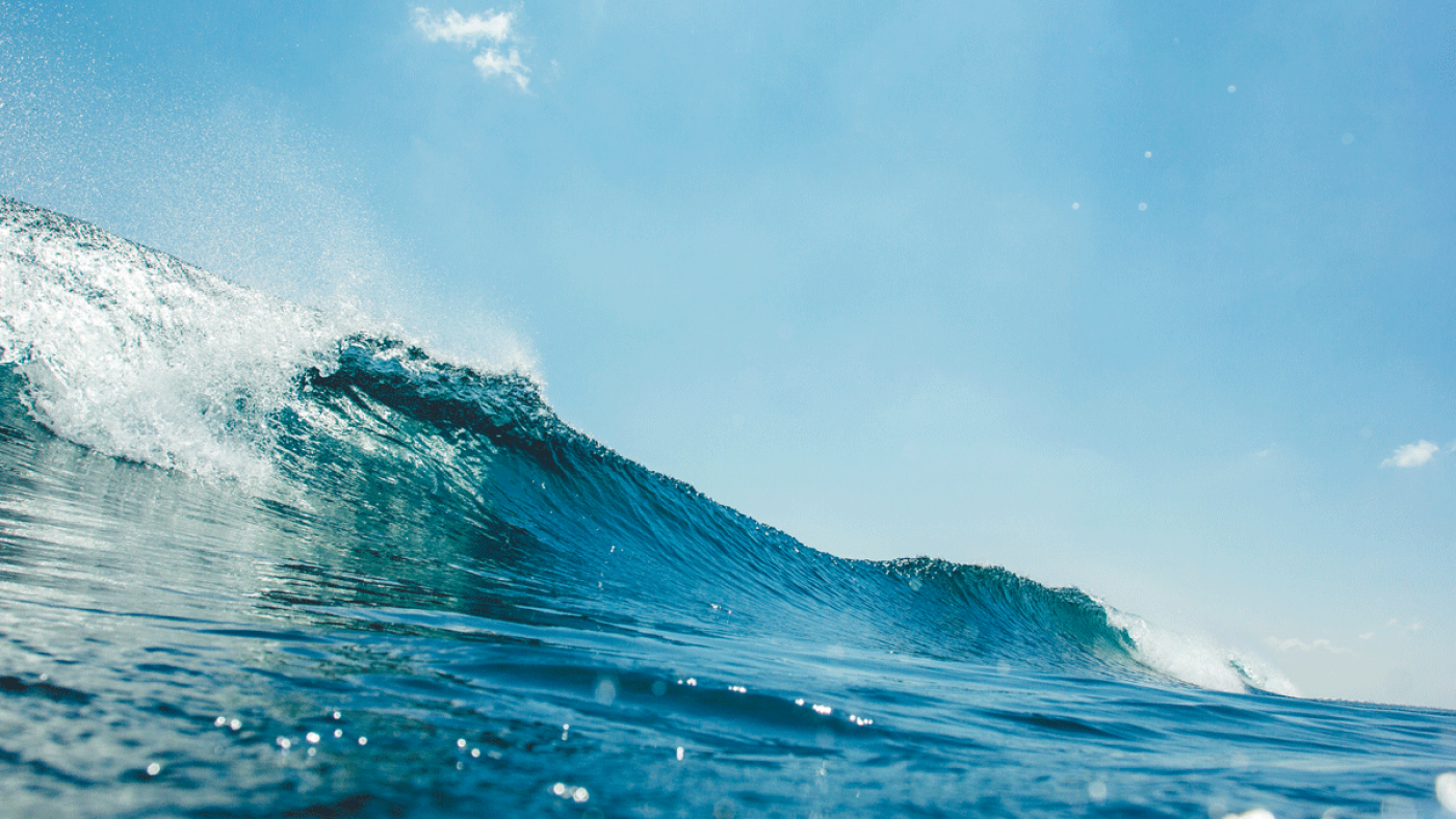 Seawater Bacteria Provides Leads to Fight Melanoma
