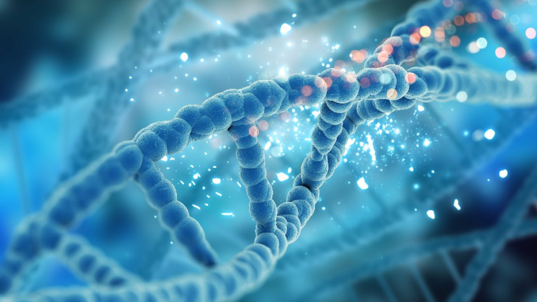 CRISPR-Cas9
