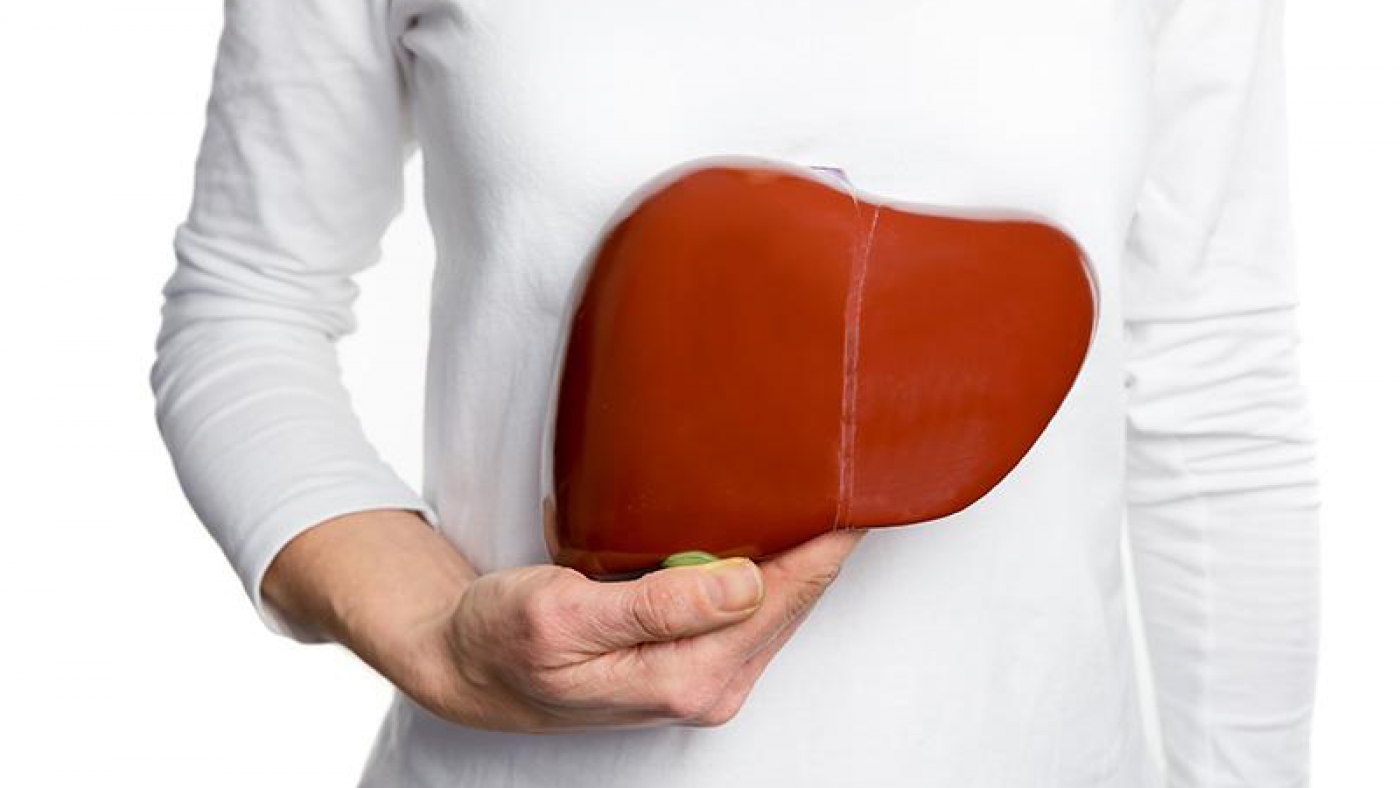 liver