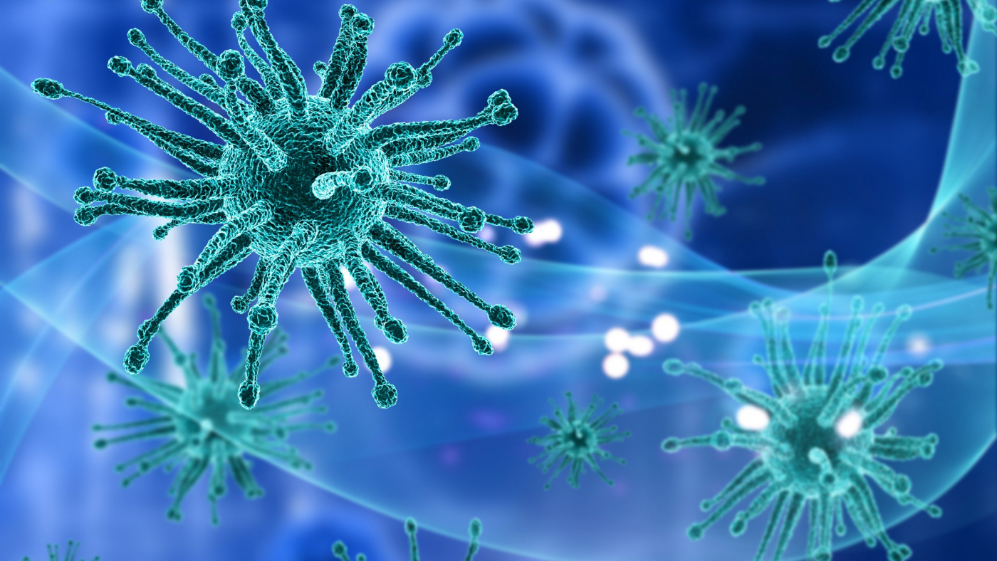 New Vulnerability Found in Major Human Viruses