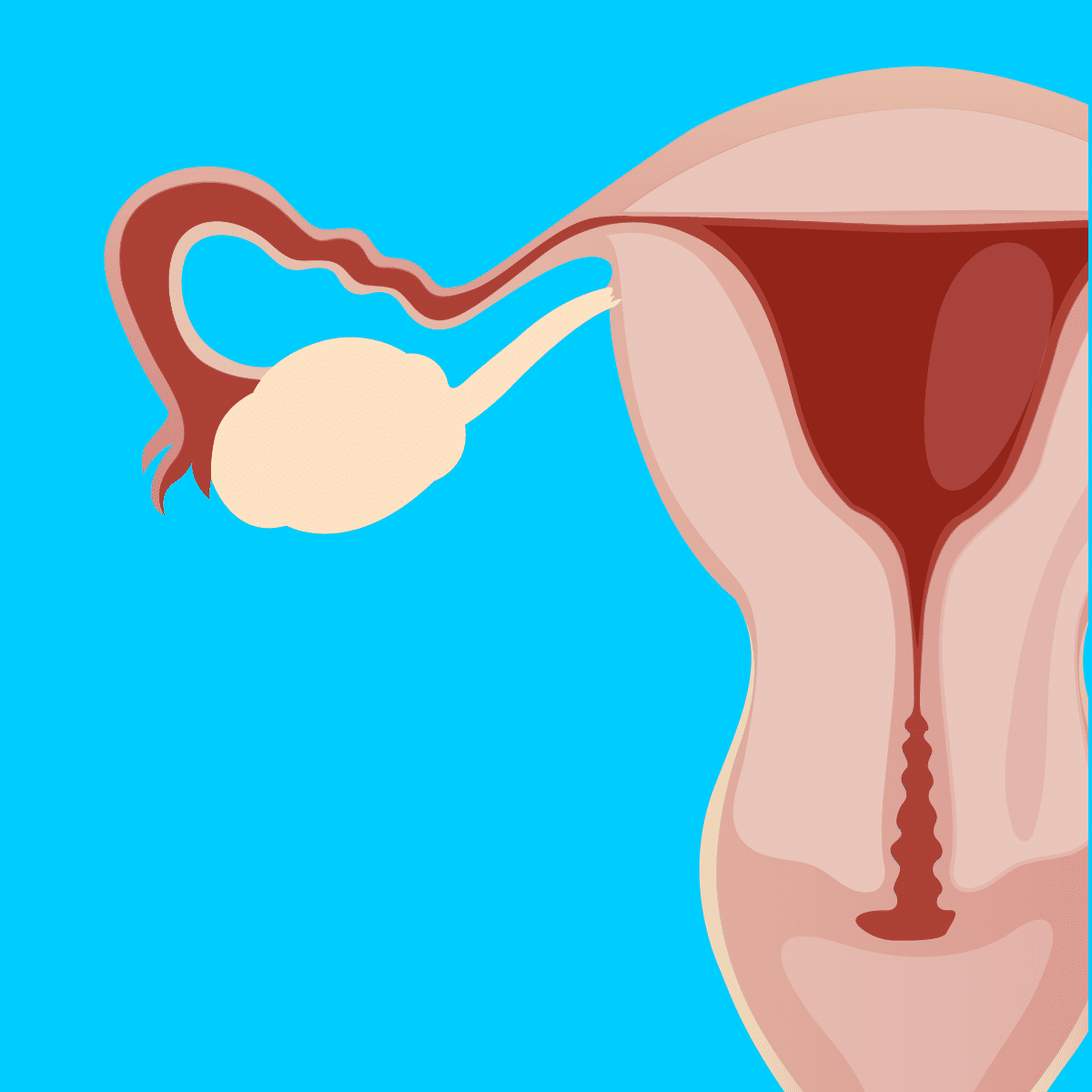 A 'One-Two Punch' to Wipe Out Cancerous Ovarian Cells