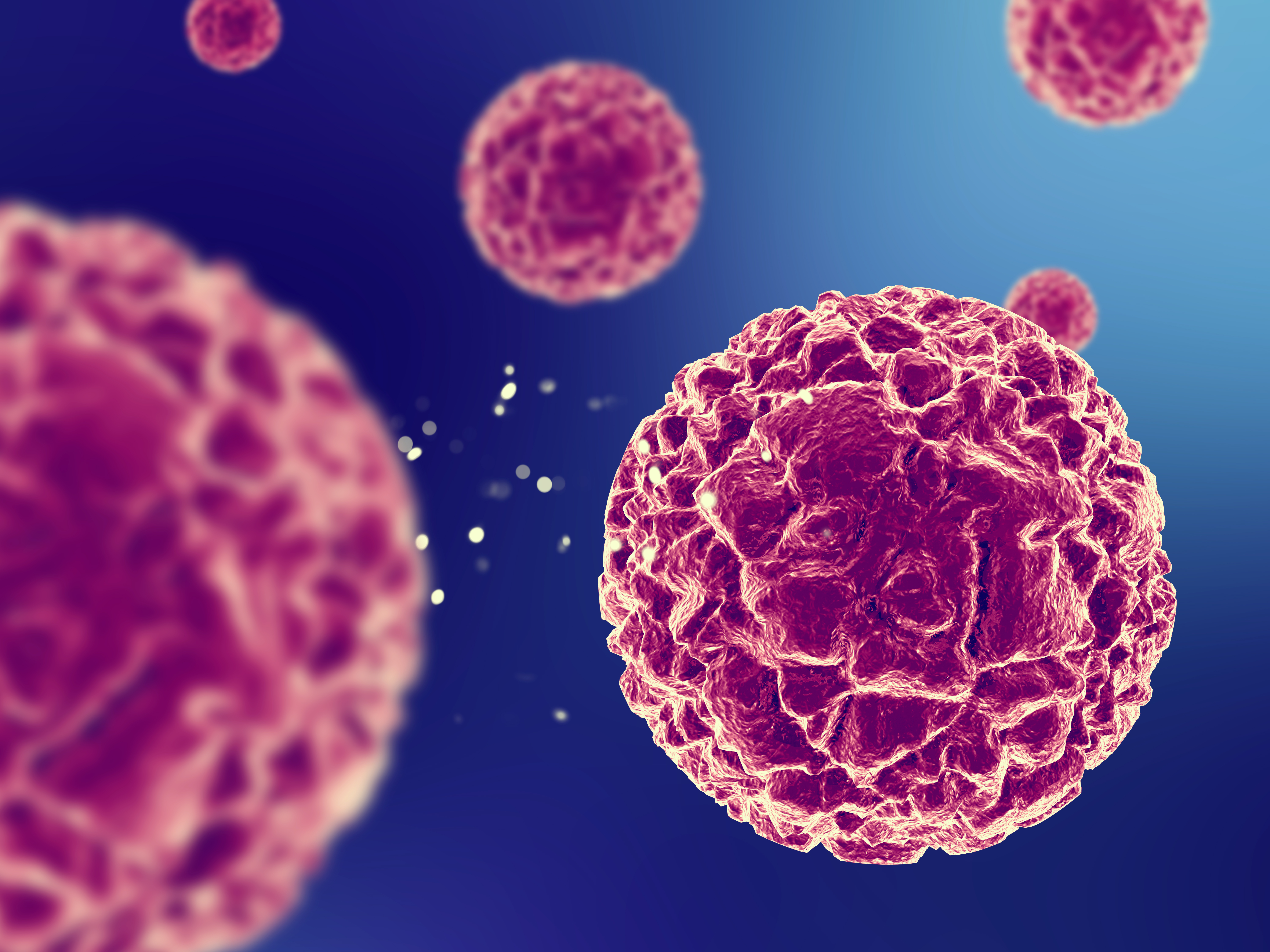 Enhanced Human Blood-Brain Barrier Chip Performs in Vivo-Like Drug and Antibody Transport