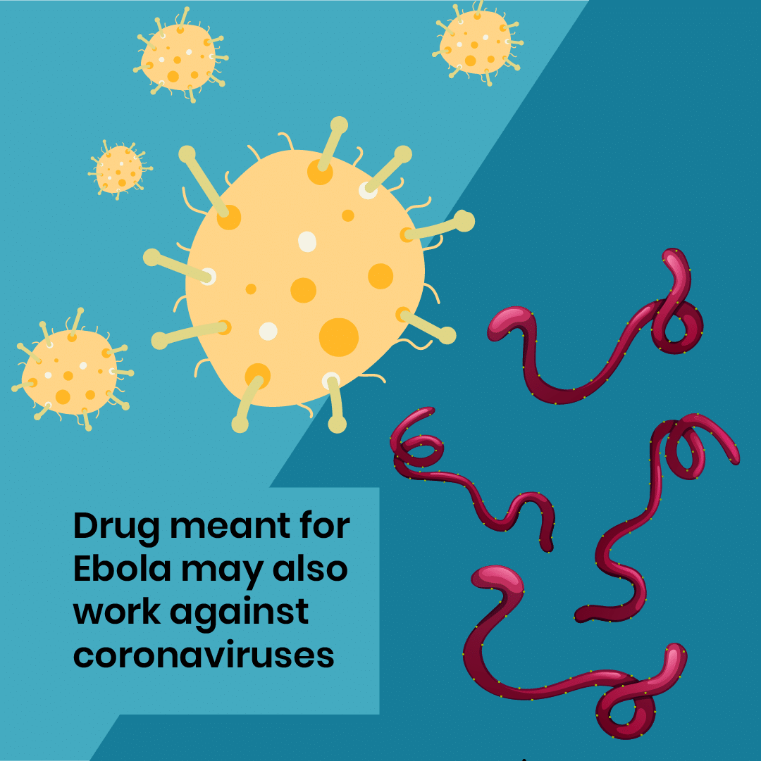 A drug meant for Ebola may also work against coronaviruses
