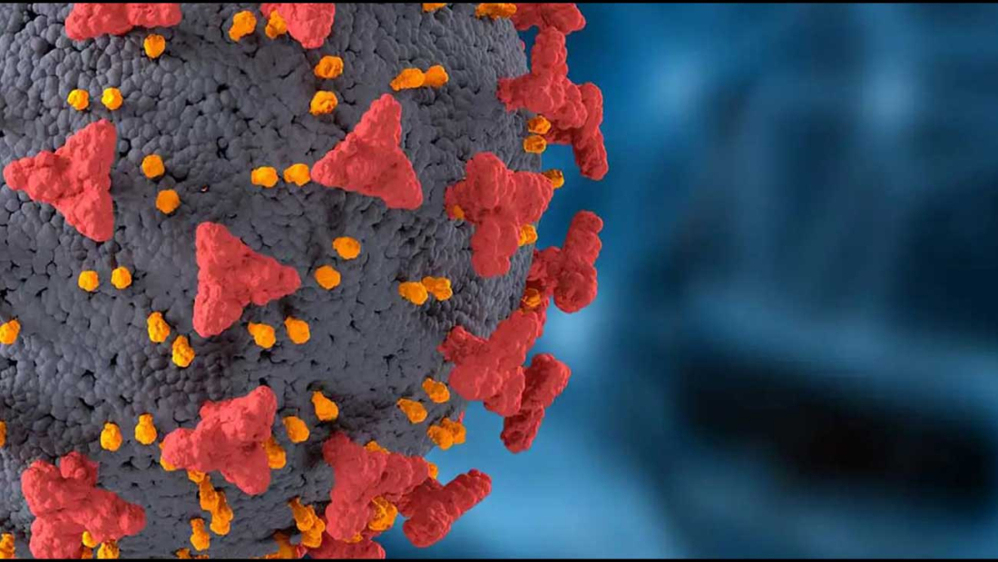 Covid-19 Virus Cell Images Photo