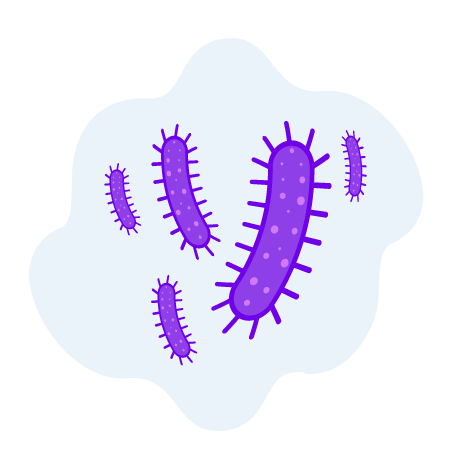 Active Studies: C.diff | FOMAT