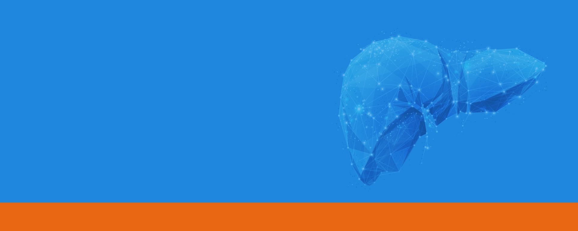 Educational Program: Fatty Liver Test