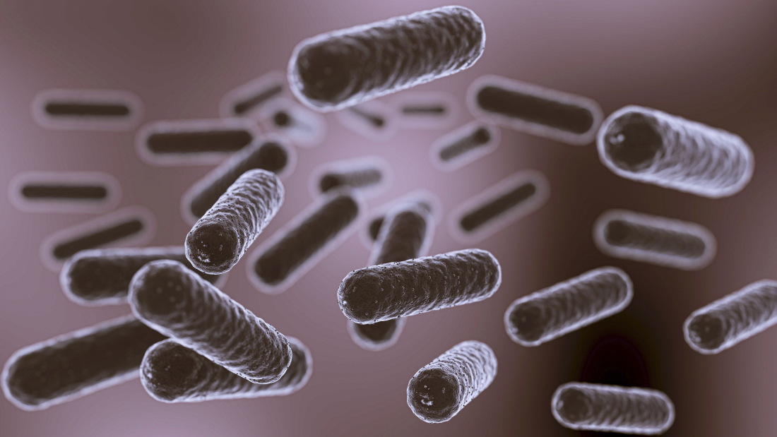 Microscopic view of rod-shaped gut bacteria floating in the intestinal environment