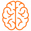 brain (1) brain (1)