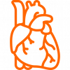 heart (1) heart (1)