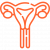 womb (1) womb (1)